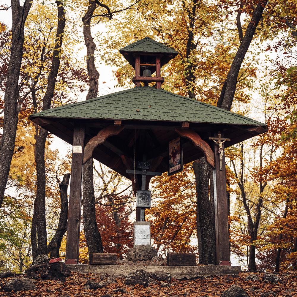 POSAVSKI FESTIVAL POHODNIŠTVA 2025 POHOD NA ŠPIČEK