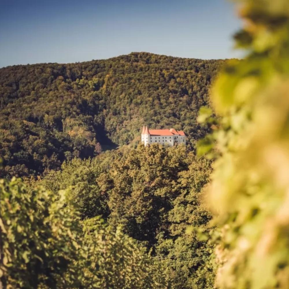 GRAJSKA POT NA BIZELJSKEM, POSAVSKI FESTIVAL POHODNIŠTVA 2025