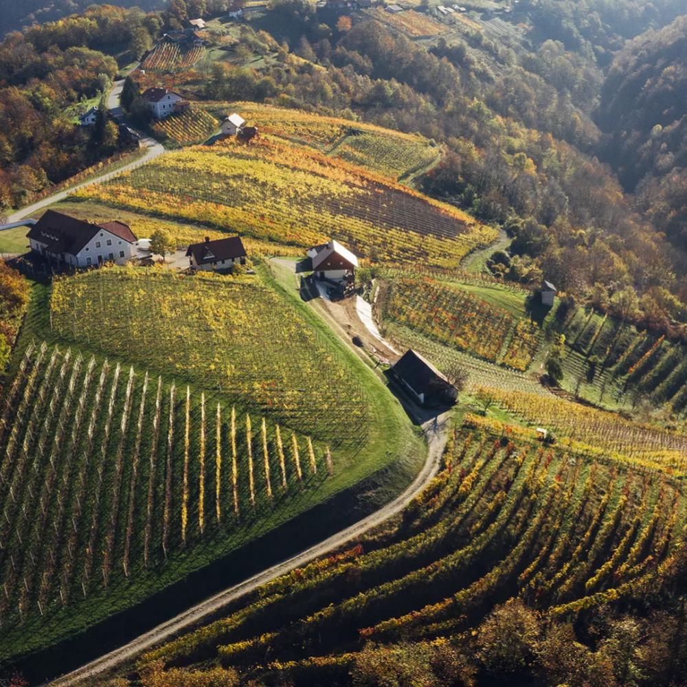 MARTINOVA DOŽIVETJA 25' : MARTINOV POHOD IN MARTINOVANJE V GADOVI PEČI