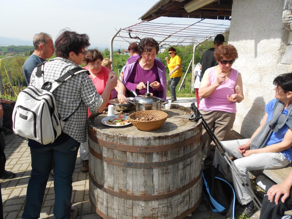 VINOGRADNIŠKI POHOD