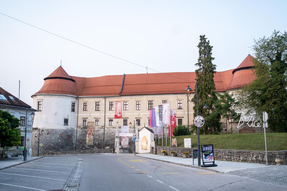 1. FESTIVAL GRADOVI POSAVJE BAROČNI DAN NA GRADU BREŽICE
