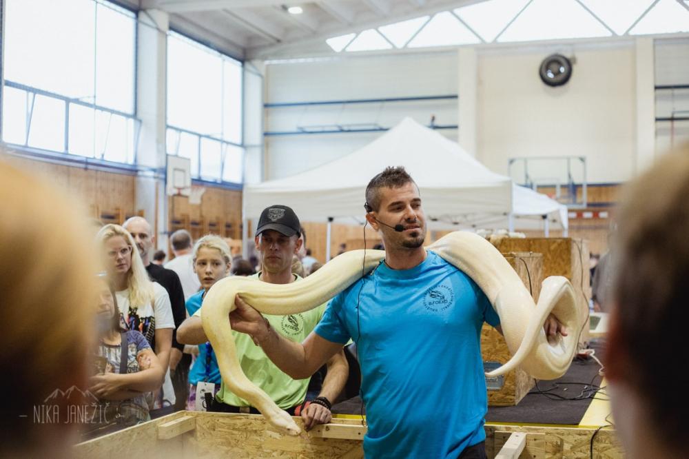 SPOZNAVANJE EKSOTIČNIH ŽIVALI V ŽIVO (VODI ALEŠ ABRAM, BIOEXO)