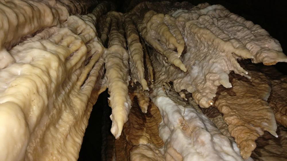 DOGODEK OB SVETOVNEM DNEVU ZEMLJE IN KNJIGE