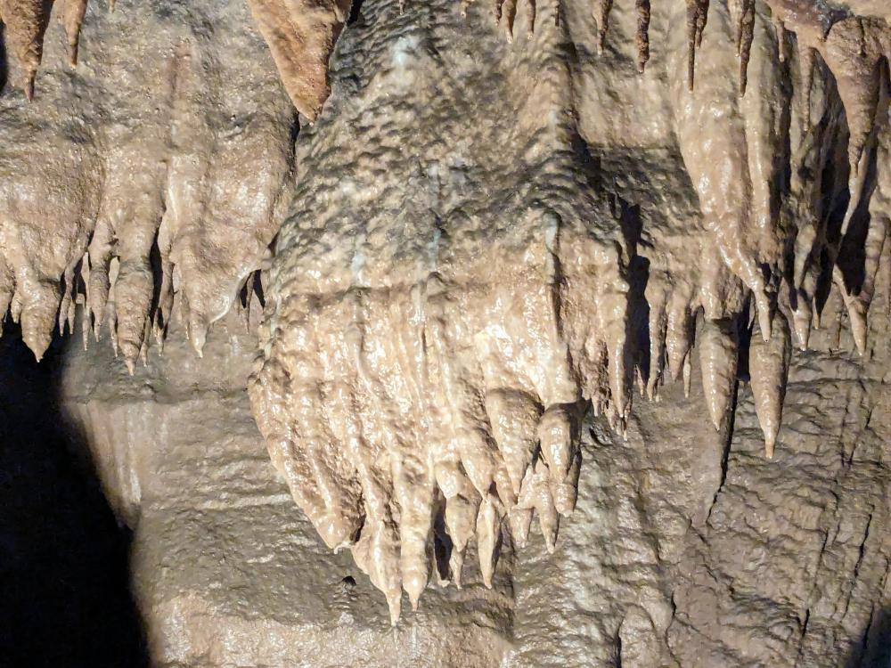 OTVORITEV SEZONE KOSTANJEVIŠKE JAME