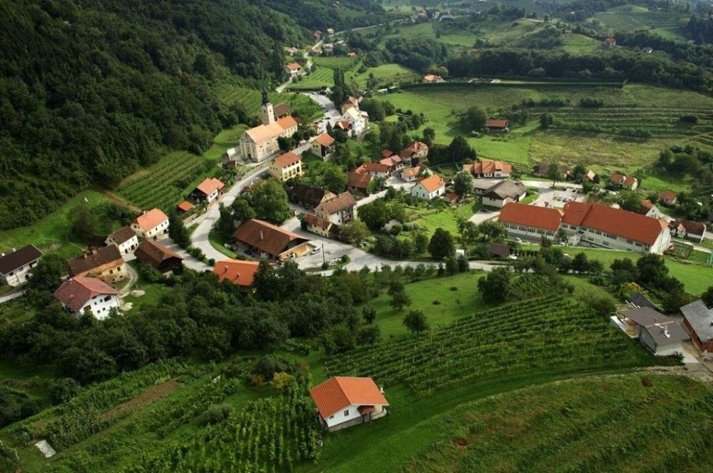 POSAVSKI FESTIVAL POHODNIŠTVA 2026: POHOD PO POTI DR. SLAVKA SUŠINA