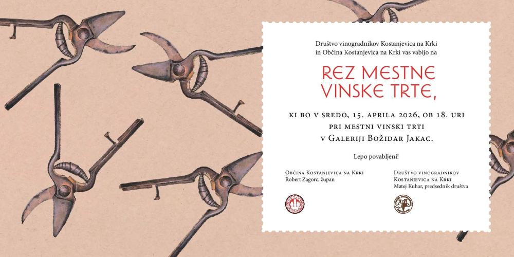 REZ MESTNE VINSKE TRTE