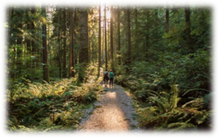 POHOD V SOSEDNJI KRAJ - SELCE