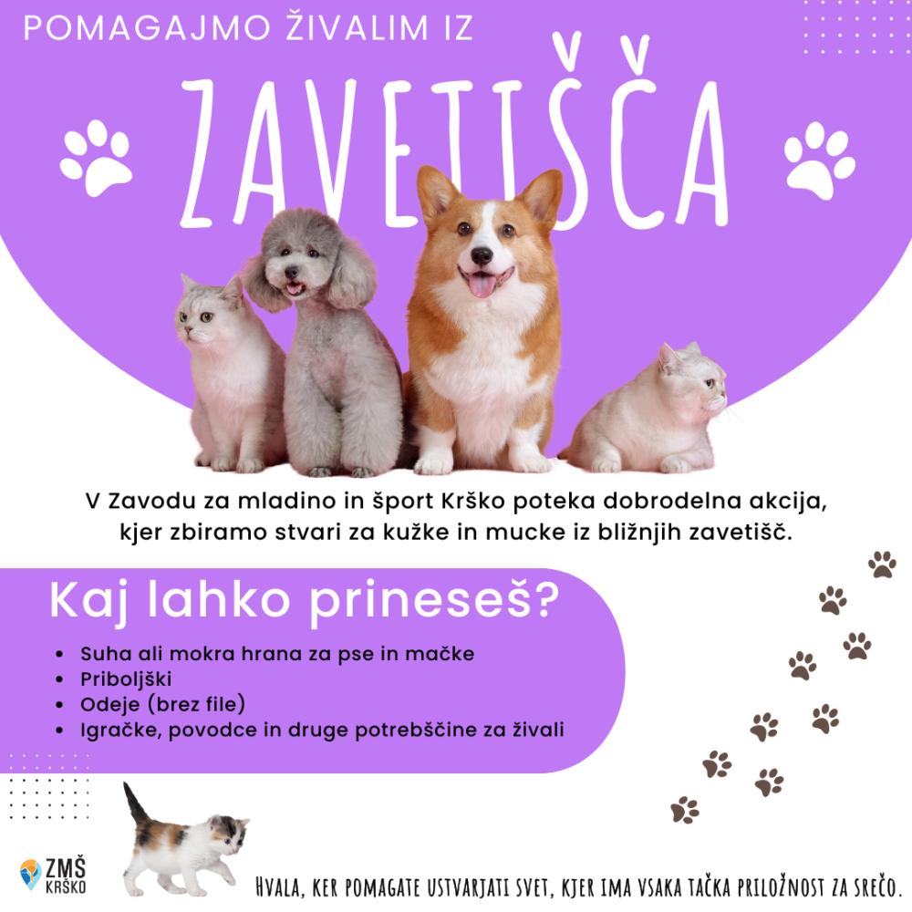 ZBIRANJE POTREBŠČIN ZA MALE ŽIVAL