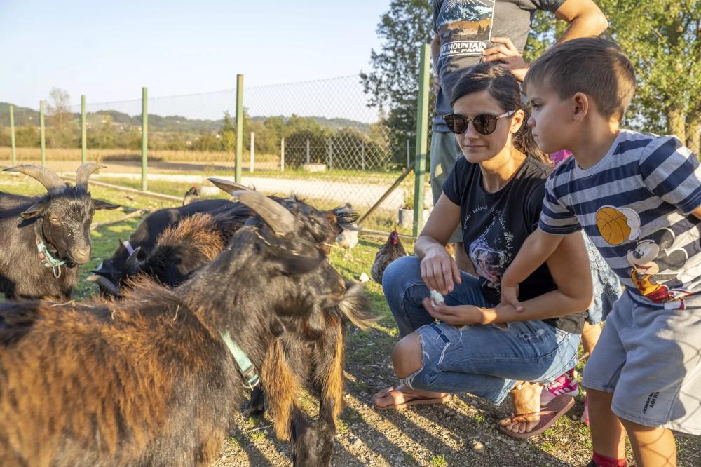 JESENSKA DOŽIVETJA: ANIMIRAN VODEN OGLED ŽIVALI IN DELAVNICA NA ALPAKA RANČ PEPITO IN PRIJATELJI