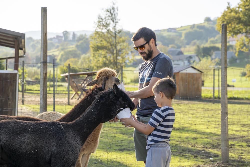 JESENSKA DOŽIVETJA: ANIMIRAN VODEN OGLED ŽIVALI IN DELAVNICA NA ALPAKA RANČ PEPITO IN PRIJATELJI